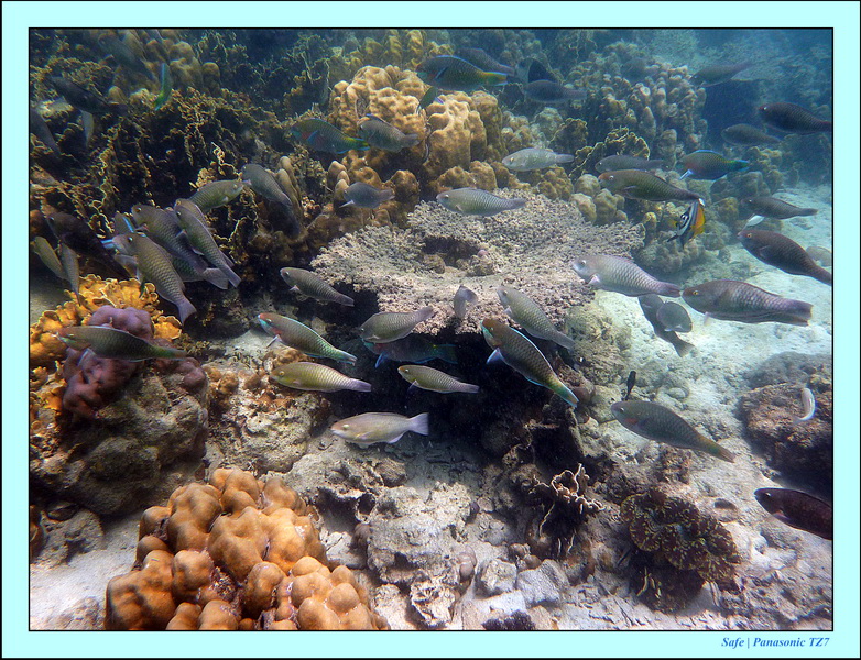 2011 - 03 - Koh Kradan 036